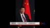 美专家: 中国司法不独立 反腐难成功