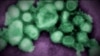 Antibiotic Resistance Requires Fast Actions