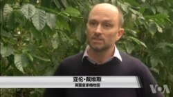 野生咖啡正在消失，咖啡物种受到威胁