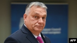匈牙利总理欧尔班 (Viktor Orban)抵达布鲁塞尔出席欧洲理事会圆桌会议。 （2023年12月14日）