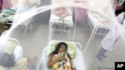Захищена сіткою від комарів вагітна Надя Гонсалес одужує від лихоманки. Парагвай, 5 лютого 2016 рік. 