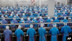 泰国一家海鲜市场的工人们(资料照片)