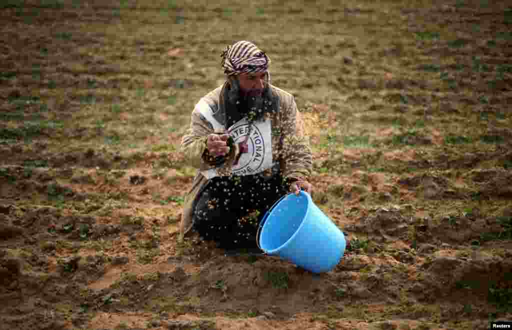 A Palestinian farmer throws wheat seeds during a tour by the International Committee of the Red Cross (ICRC), in the southern Gaza Strip.