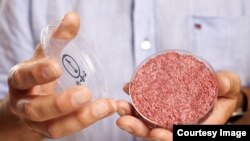 Miếng thịt bò được Giáo sư Mark Post làm từ phòng thí nghiệm