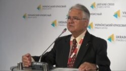 Спостерігачі з діаспори працюють в Україні