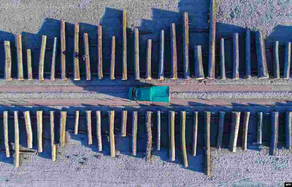 An aerial picture taken with a drone shows wood logs lined up at a storage facilities of a Brandebourg's forestry company in the eastern German town of Chorin.