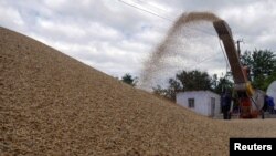 Збирання ячменю в Одеській області, 23 червня 2022 р. REUTERS/Ігор Ткаченко