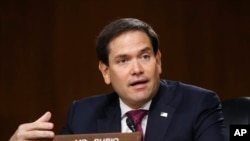 美国共和党联邦参议员鲁比奥