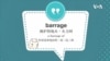 学个词--barrage