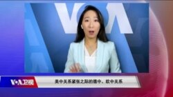 焦点对话：专访德国波恩大学教授辜学武：美中博弈中的德国与欧洲