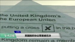 VOA连线(江静玲)：英国脱欧协议草案被否决