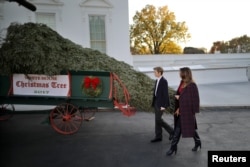 Перша леді і Баррон Трамп оглядають ялинку