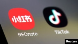 中国社媒小红书和TikTok的应用标志