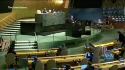 Положення резолюці ООН, які допоможуть Україні у звільненні політичних в’язнів та деокупації Криму. Відео