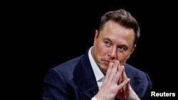 Американський мільярдер вказав, що не включив покриття Starlink на урядовий запит 