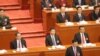 张德江称中国有9亿选民，网民说没见过选票