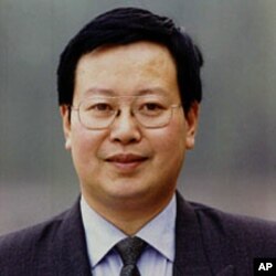 北京大学经济学教授夏业良