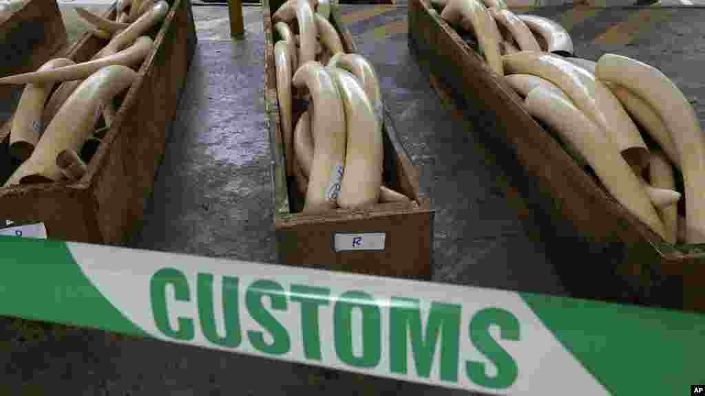 HONG KONG Crates of illegal ivory valued at $5.3 million were displayed at a Hing King press conference in August, 2013. The seisure included rhino horns and leopard skins.