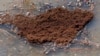 FILE - Fire ants are shown clinging together in the floodwaters of Vicksburg, Miss., March 13, 2018. Australian officials are examining the potential impact of invasive fire ants, which were first found Brisbane, Australia, in 2001.