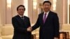 习近平会见越共特使 称要妥善处理分歧