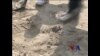 美青少年犯浪子回头 帮助桑迪飓风灾民
