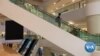 Dissenting Dollars: Hong Kong Protest’s Shopping Movement 
