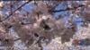 16x9 Image