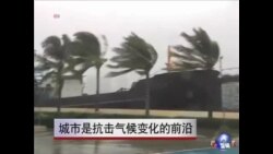 全球各地市长：城市是抗击气候变化的前沿