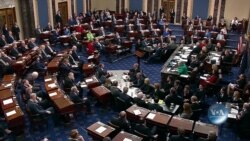 Яким був 2020 рік для Конгресу США: підсумки. Відео