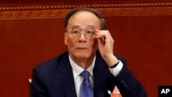 中国国家副主席王岐山 （资料照片）