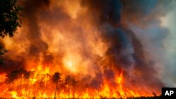 2022年7月16日，法国西南地区的兰迪拉斯附近猛烈燃烧的野火。强风、高温以及干燥的空气使法国救火人员的努力一再受挫。本照片由法国吉伦特地区救火队拍摄。美联社提供。