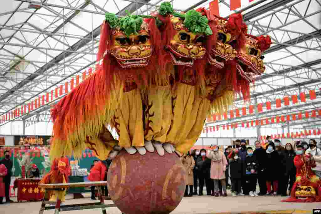 Folk artists perform a lion dance during the Lunar New Year celebrations in a village in Zhangjiakou, in northern China's Hebei province.