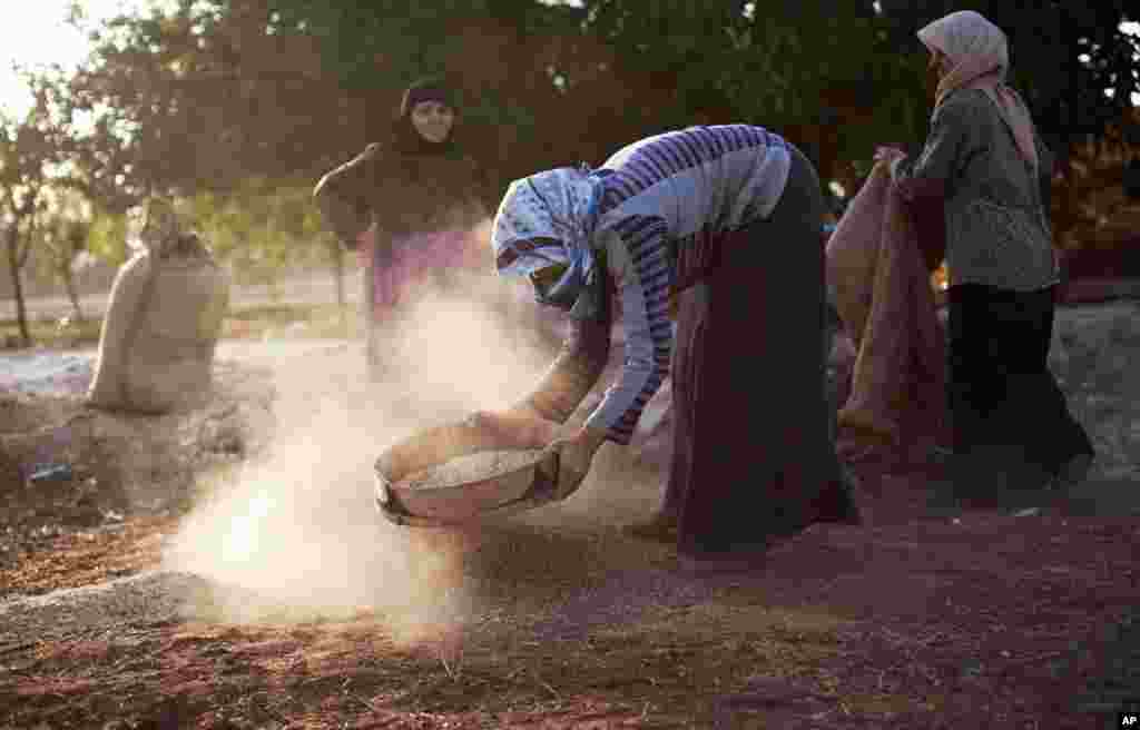 Phụ nữ làm việc ngoài đồng trong làng Tarafat, Syria, ngày 14/10/2012.