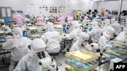 资料照：中国江苏省淮安的一个半导体工厂的工人正在制作LED芯片。（2020年6月16日）