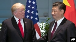 президент США Дональд Трамп і президент Китаю Сі Цзіньпін
