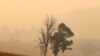 Dos incendios se fusionan en un fuego masivo en Australia
