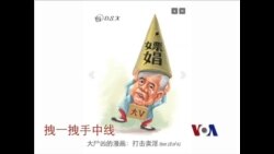 火墙内外: 薛蛮子嫖娼被批 堵言路醉翁之意？