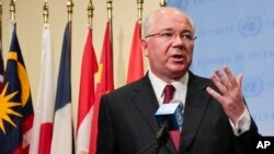 委内瑞拉驻联合国大使拉米雷斯(资料照)