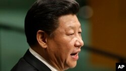 中国国家主席习近平 