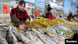 资料照：中国江苏省连云港的一个海鲜市场。（2015年11月10日）