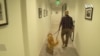 K9警犬急救队帮助警察疗伤止痛