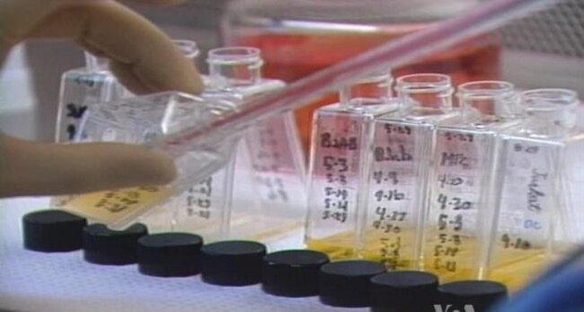Shutdown, Budget Cuts Negatively Affect US Capability in Medicine