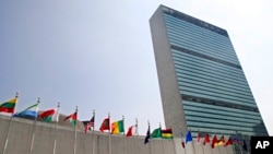 联合国成员国的旗帜在纽约联合国总部大厦外飘扬。