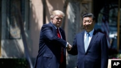 美国总统川普与中国国家主席习近平星期五在佛罗里达海湖庄园
