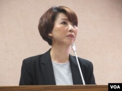 台湾执政党民进党立委陈亭妃