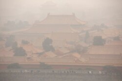北京故宫在一个雾霾天里。（2020年1月18日）