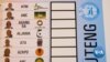 South Africa Votes in Sixth Democratic Poll after Apartheid