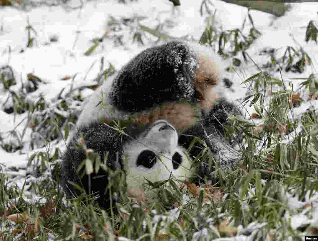 2015年1月27日，宝宝在雪地上玩耍