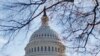 Вибори в Росії: реакція Сенату США