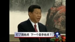 焦点对话：打了周老虎，下一个是李老虎？